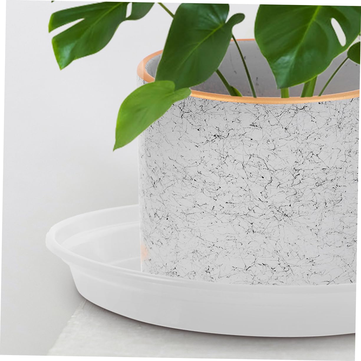 BESPORTBLE Planta 60 Piezas Bandeja de Plantas macetas platillo para Plantas al Aire Libre platillo para Maceta Agua Plato de Maceta Bandeja de Agua Bandeja de Goteo Resina PP