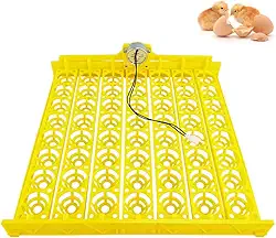 Morishima Incubadora Automática Multifuncional Com Bandeja Para Ovos E Motor De 110 V, Chocadeira Giratória Galinhas/Patos/Pássaros/Aves (56 Bandejas, V)