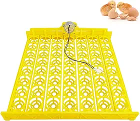 Morishima Incubadora Automática Multifuncional Com Bandeja Para Ovos E Motor De 110 V, Chocadeira Giratória Galinhas/Patos/Pássaros/Aves (56 Bandejas, V)
