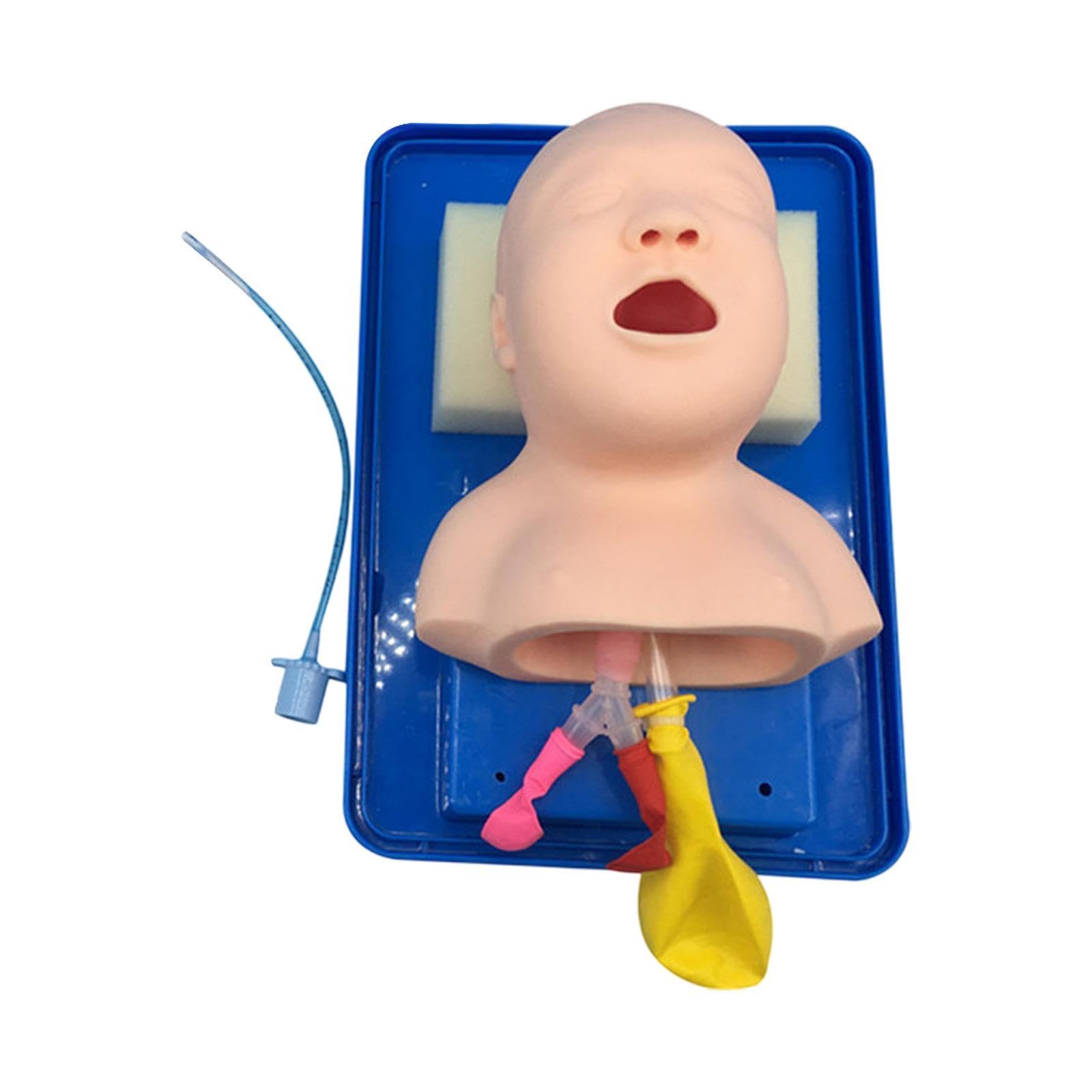 Modello di Intubazione Tracheale Neonatale, Strumento di Addestramento All'intubazione Neonatale per Laboratori Scientifici