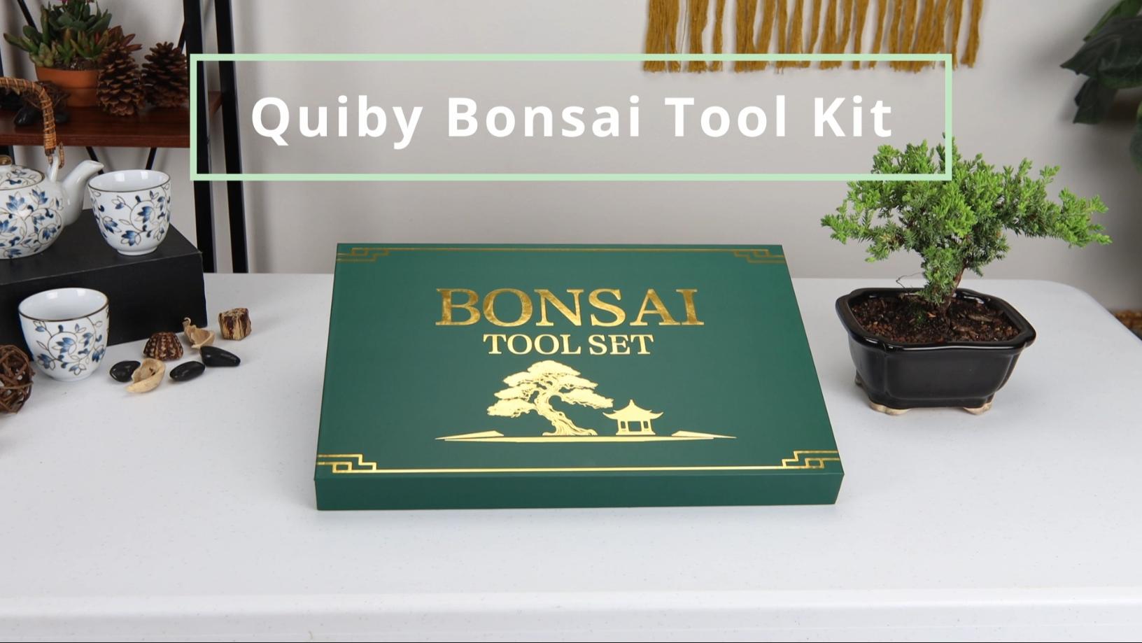 Set de 4 Piezas de Herramientas Bonsai Acero Inoxidable miniatura 7