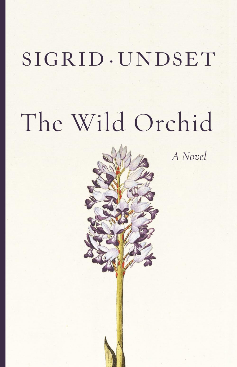 The Wild Orchid
