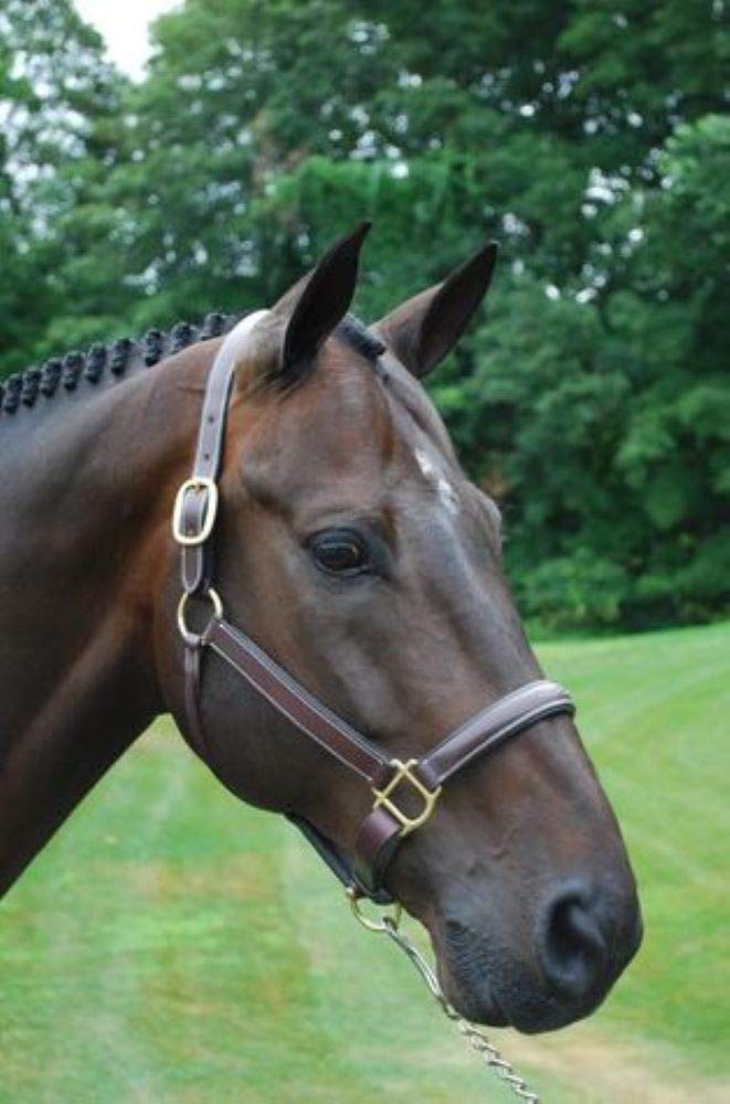 KL SelectTina Replacement Crown Black FWS Over Size