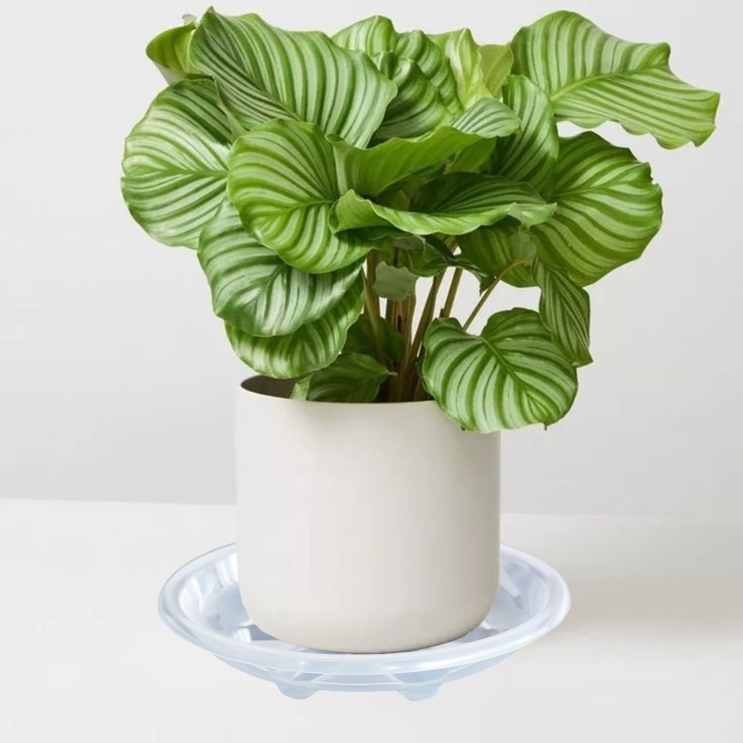 Plant Saucers - 6 Pack Heavy Duty Drainage Trays -6
