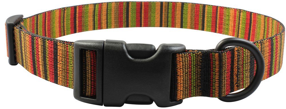 Bison Designs Adjustable Dog Collar 25MM