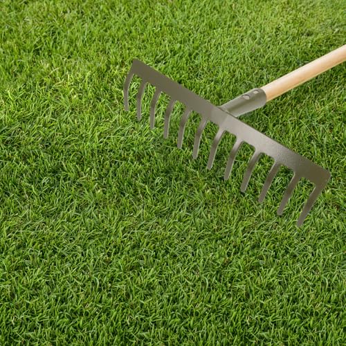Cabezal de Rastrillo de Mano para Jardín 12 Dientes miniatura 6
