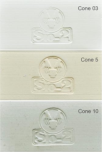 Miniatura 2 de ACTIVA Sio-2 PRAI - Gres natural, fuego alto, blanco, 27.6 libras de arcilla,