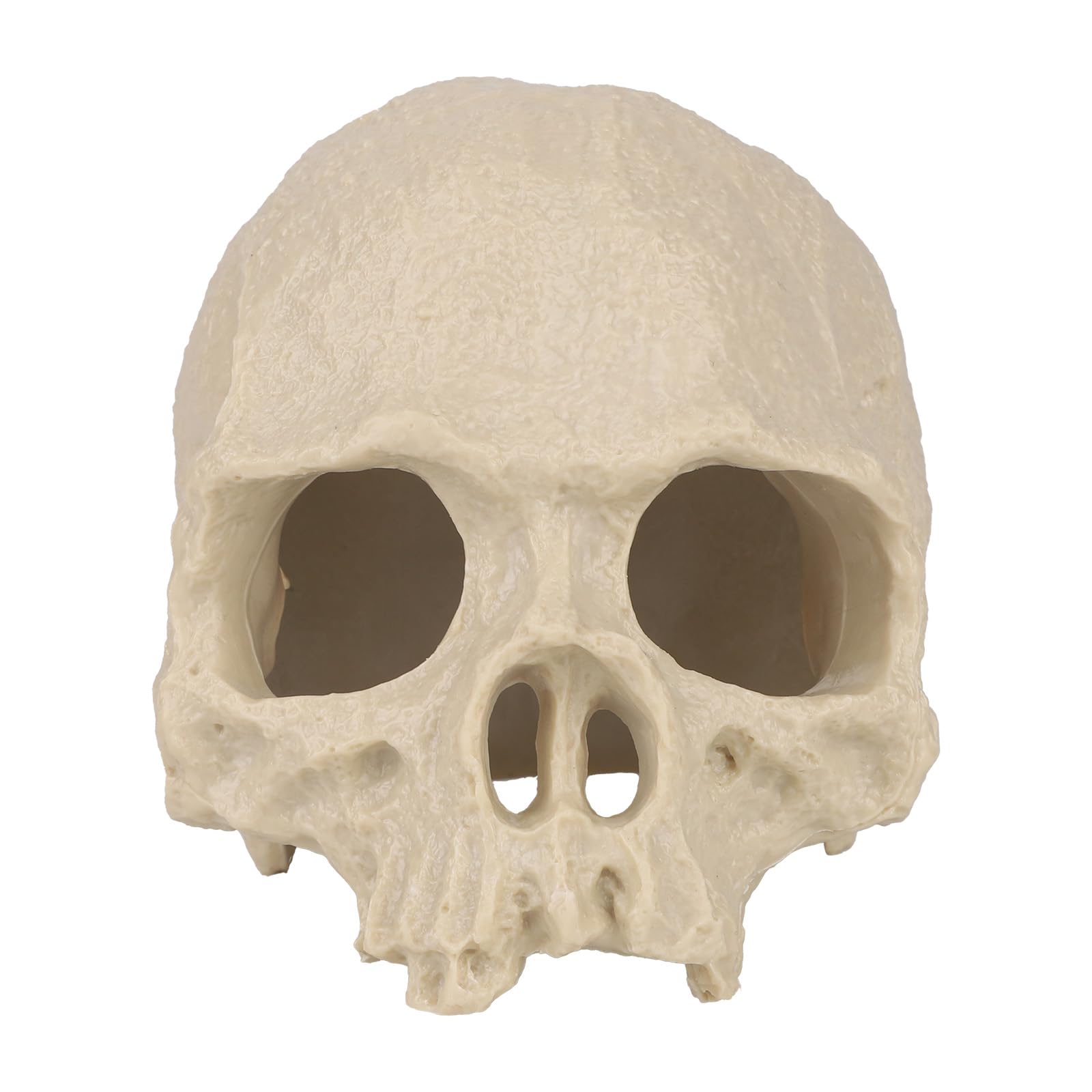 Penitue Halloween Fish Tank Decor, Horror Human Skull Aquarium Decor Vivarium Fish Hides Decorations Accessory for Betta Shrimp