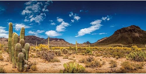 Miniatura 2 de Leyiyi 30x12 pulgadas Arazona Mountain Cactus Fotografía Fondo Desierto Puesta de Sol Cumbre Western American Viajes Senderismo Desierto Flora Nube