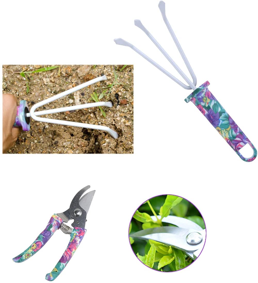 SIQI Juego de herramientas de mano de jardín de 10 piezas, kit de plantación, herramienta de trabajo de jardín con estuche de transporte, juego de trabajo de jardinería con mango ergonómico, regalo pa