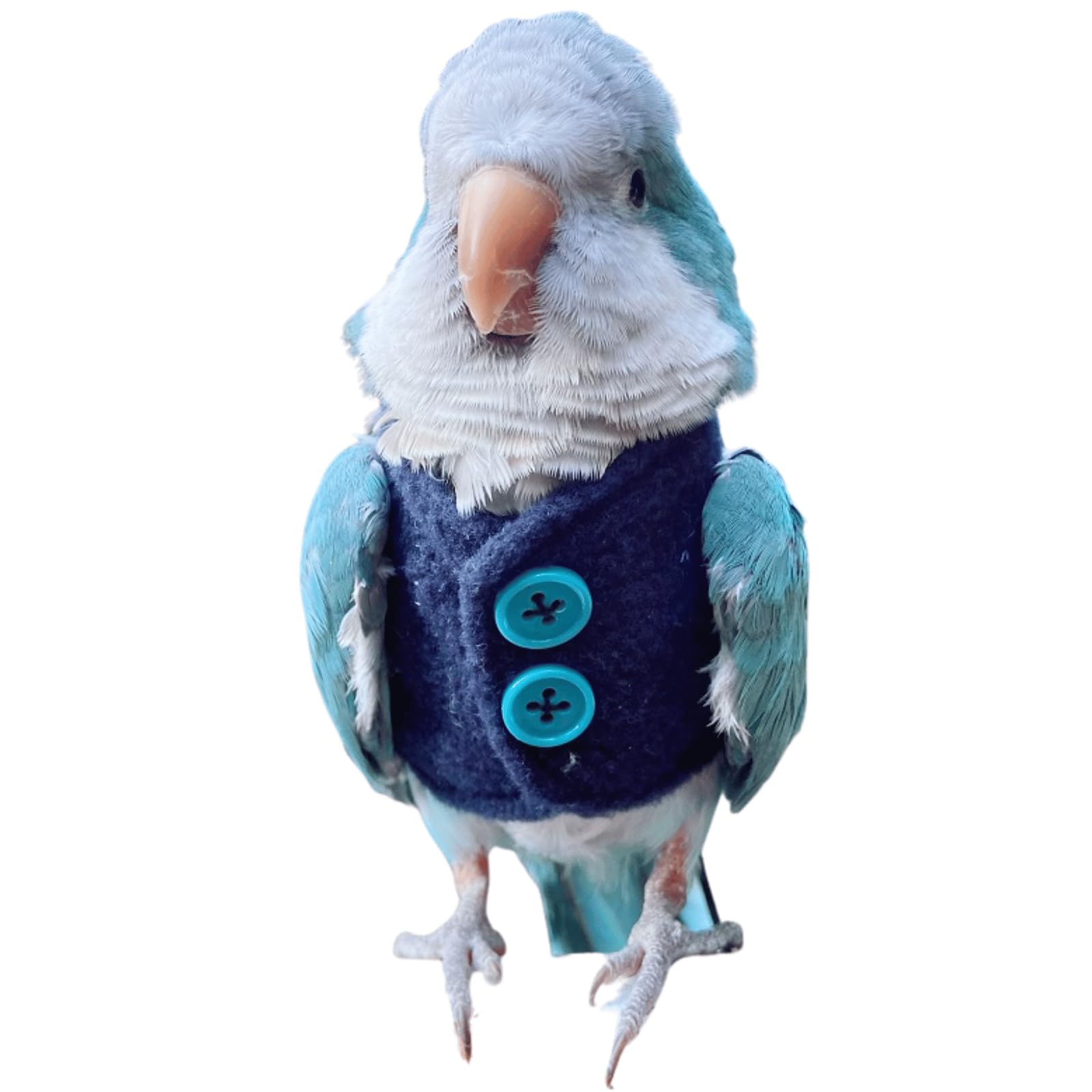 CXYYXF Bird Costume Bird Diaper Flight Suit Bird Navy Top Bird Clothes Cosplay Photo Prop for Parrots Lovebird Parakeet Cockatiel Small Animals Apparel (with Diaper,L)