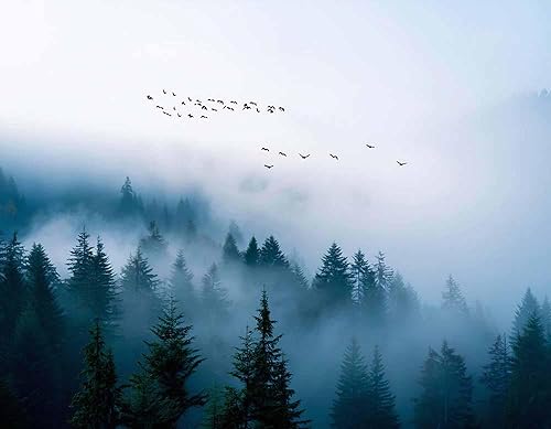 Vista 112 de Papel tapiz para habitación de niños, mapa del mundo con países, papel tapiz para guardería de animales pelar y pegar, murales de pared para niños