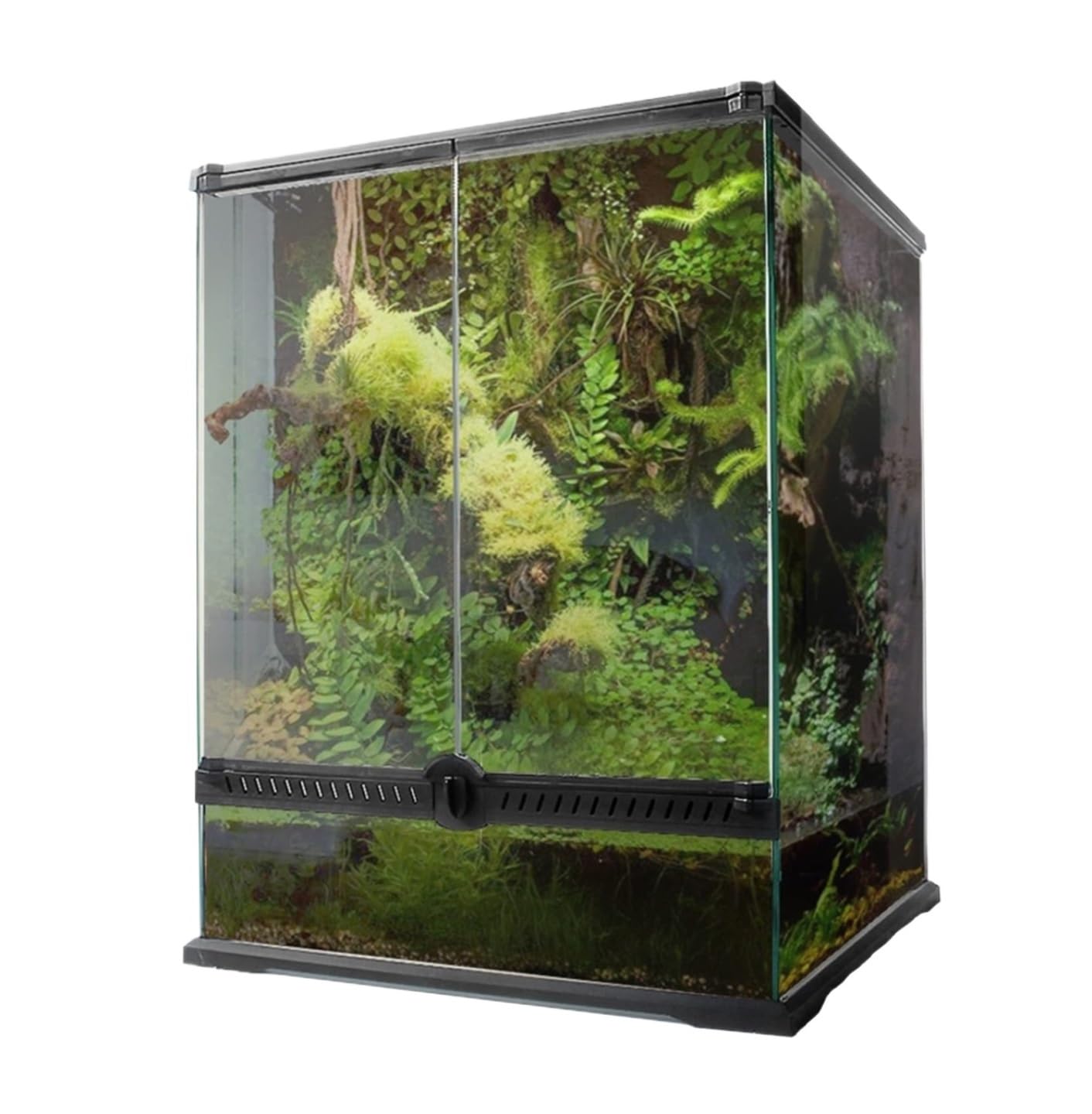 Pudełko Do Karmienia Szklane, Przezroczyste Pudełko Do Karmienia I Hodowli Gadów Terrarium Dla Gadów(45x60cm)