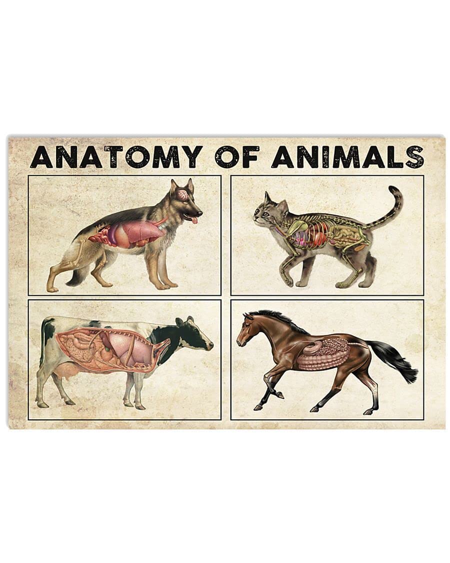 Animal Anatomy Poster Vintage Metal Sign Plaque Metal Fun Tin Sign Entrance Decoration Gallery Wall Sign 12x8inch