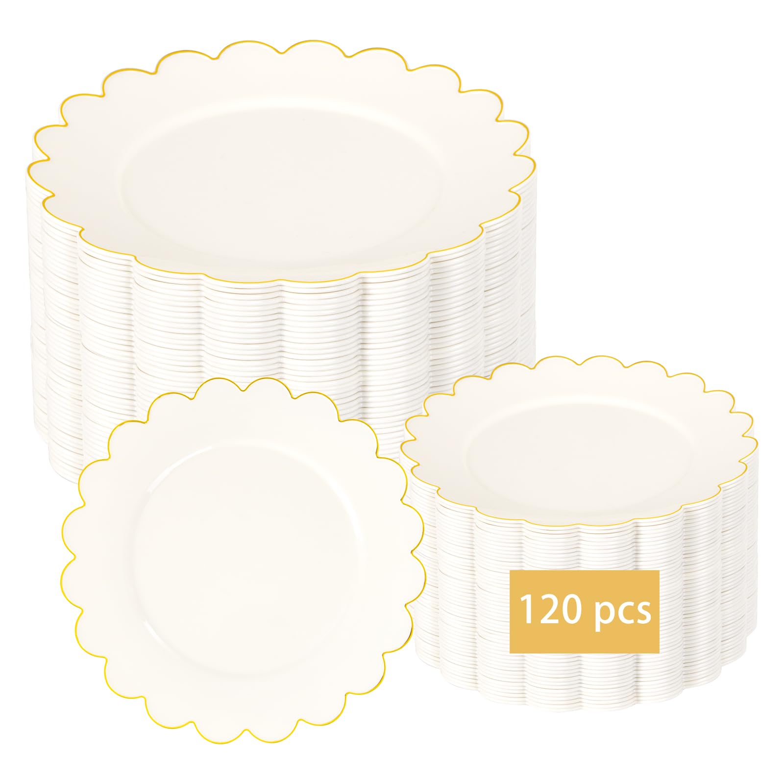 Gold Rim Disposable Plates - Party & Wedding Plates -10 Gold Rim Disposable Plates - Party & Wedding Plates -10