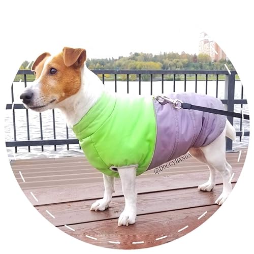 Best winter coats for jack russell terriers Clearance