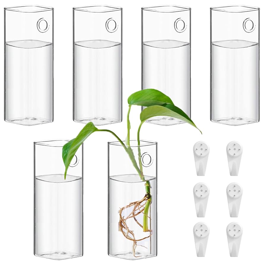 Amazon.co.jp: Cezoyx 壁掛けガラスプランター 6個パック - 植物