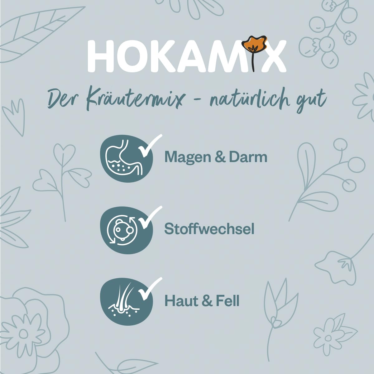 Grau - das Original - GRAU - Hokamix Vitality Booster Snack Mini Sensitive, 1er Pack (1 x 2,25kg), Ergänzungsfuttermittel für Hunde