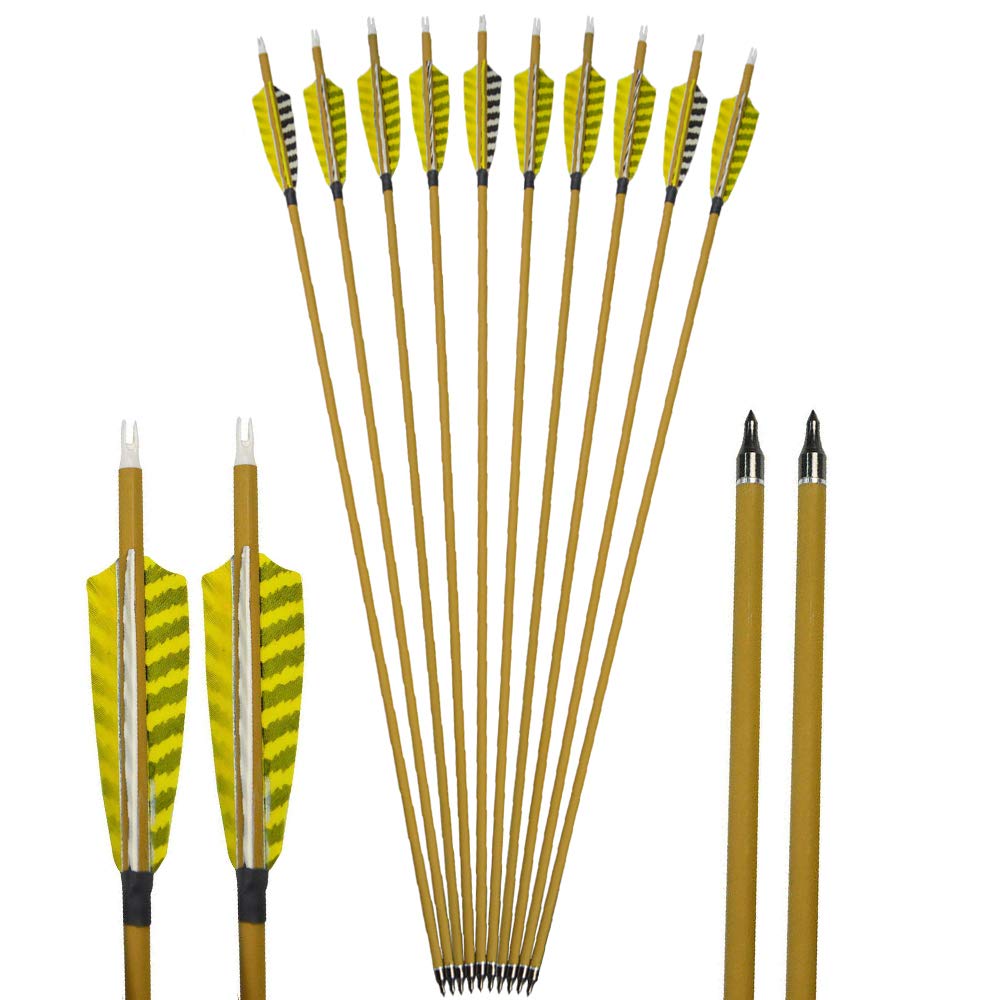 AMEYXGS 12pcs Tir à l'arc Flèches de Carbone 30 Pouces Flèches Mixtes de Tir à l'arc Spine 500 Flèches de Pratique de Chasse pour Arc Classique Arc à Poulies Arc Long (Bleu+Broadhead