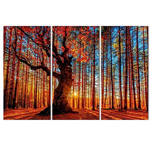Peinture 3 pièces automne érable pour instaurer une ambiance douce et zen
