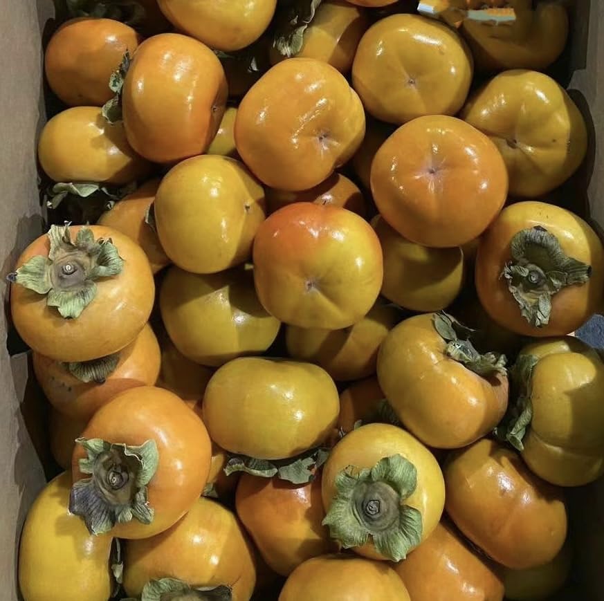 Fresh Persimmons 5 Pounds by JRQualityShop