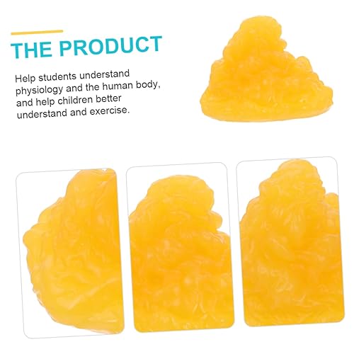 Miniatura 2 de Mobestech Modelo gordo 5 libras de grasa Modelo anatómico Modelos masculinos gordos Grasa 1 libra Suministros de examen Maniquí 1 libra de grasa 1