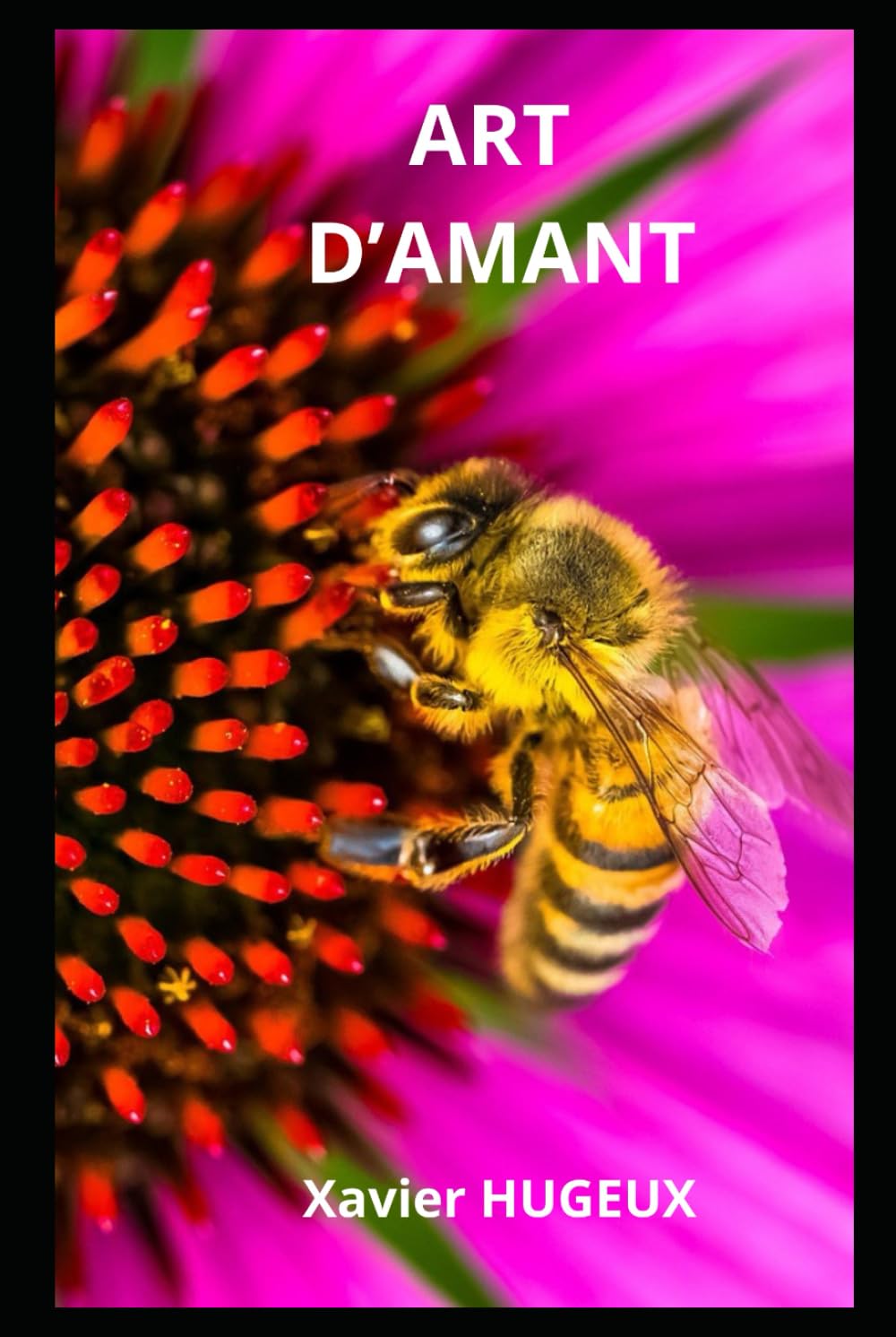 ART D'AMANT (French Edition)      Hardcover – January 4, 2026