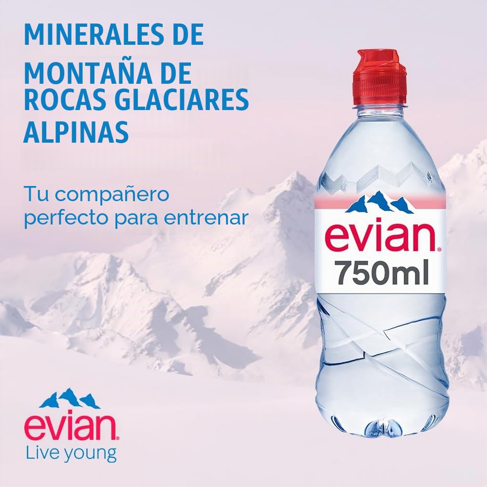 Agua mineral Evian 12 x 750 ml
