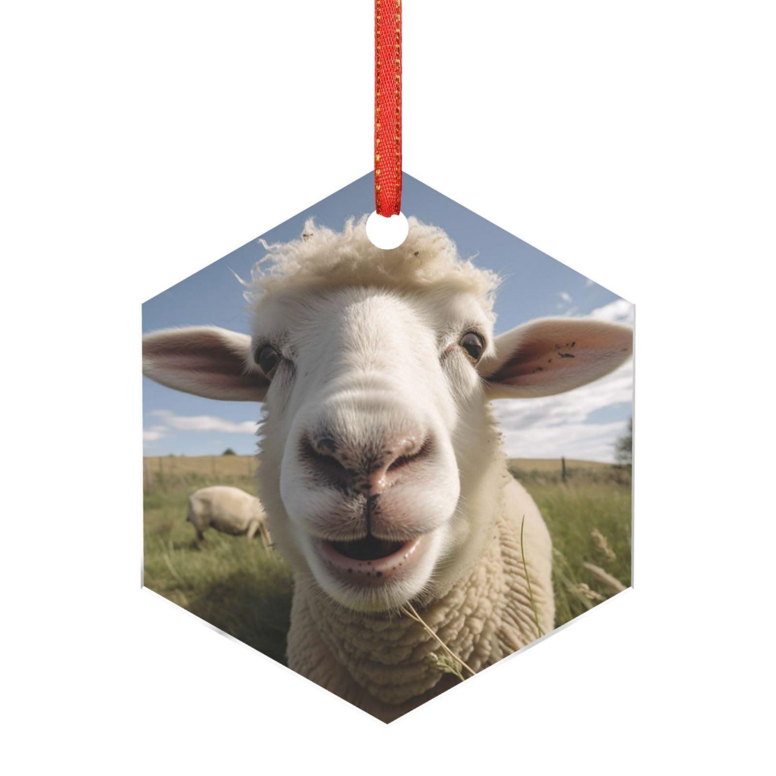 Hjkjkkj Hexagon Acrylic Ornament Christmas Tree Decoration Clear Round Pendant With Red Ribbon Sheep Taking Pictures Christmas Ornaments Indoor Outdoor Hanging Acrylic Pendants For Xmas Party Decor