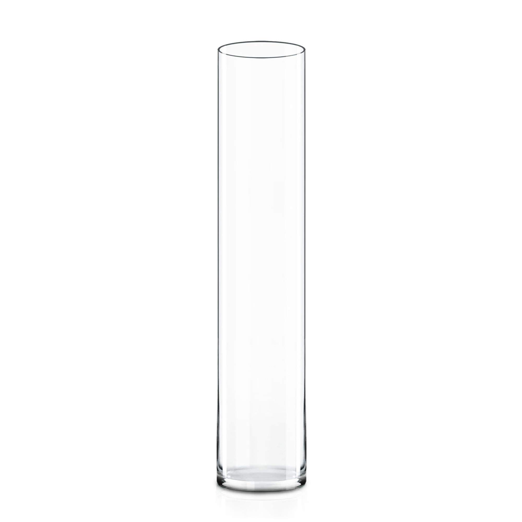 CYS EXCEL CYS Handblown Tall Glass Cylinder Vase (1 Pack), 32"/6"
