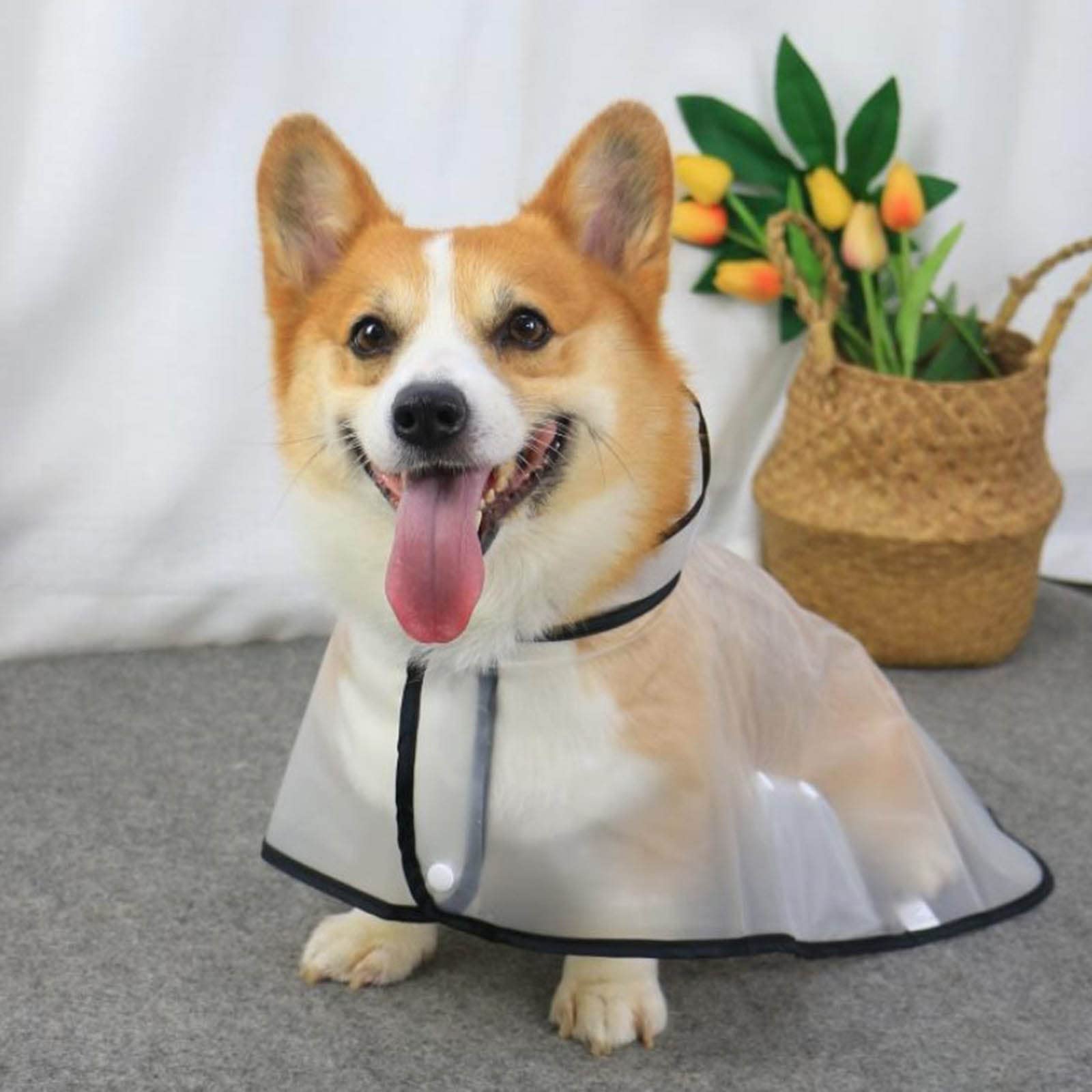 Hund Regenmantel wasserdichte Hundemanteljacke, Hunderegenmäntel, klein, mit Kapuze, große Rassen, Haustier-Regenumhang mit Kapuze, transparentes Design des Abschleppseillochs