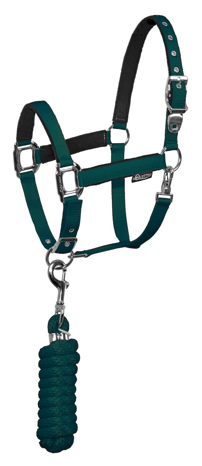 CAVEZZA NYLON C/LUNGHINA MODELLO SHINY FITTINGS (COB, VERDE CACCIA)
