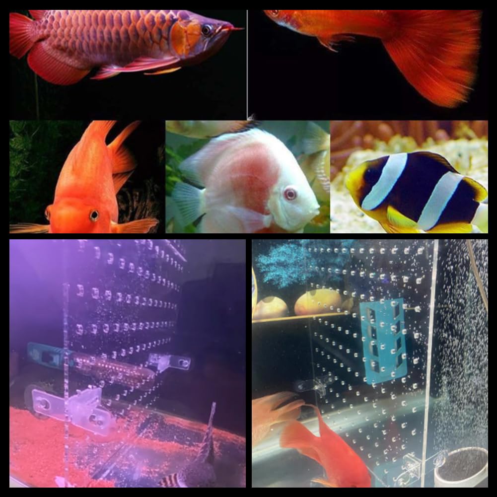 Divisor acrílico para peces, rejilla aislante con ventosas, placa transparente, separador de pescado, distribuidor en línea, placa de conector de manguera, placa de 15,7 x 11,8 x 0,08