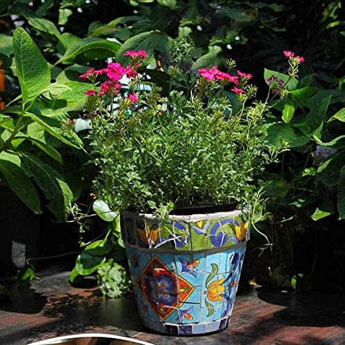 Pot de fleurs mexicain rétro vert carré en céramique pour bonsaï
