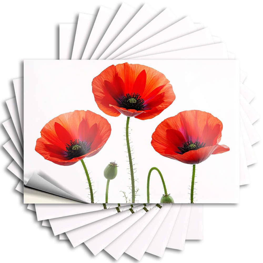 Fzfn Colour Unique Home Decor Water Quote - Bright Red Poppies In Full Bloom. Cozy Durable Sticker Easy Apply For Beer Decor(6X9cm)