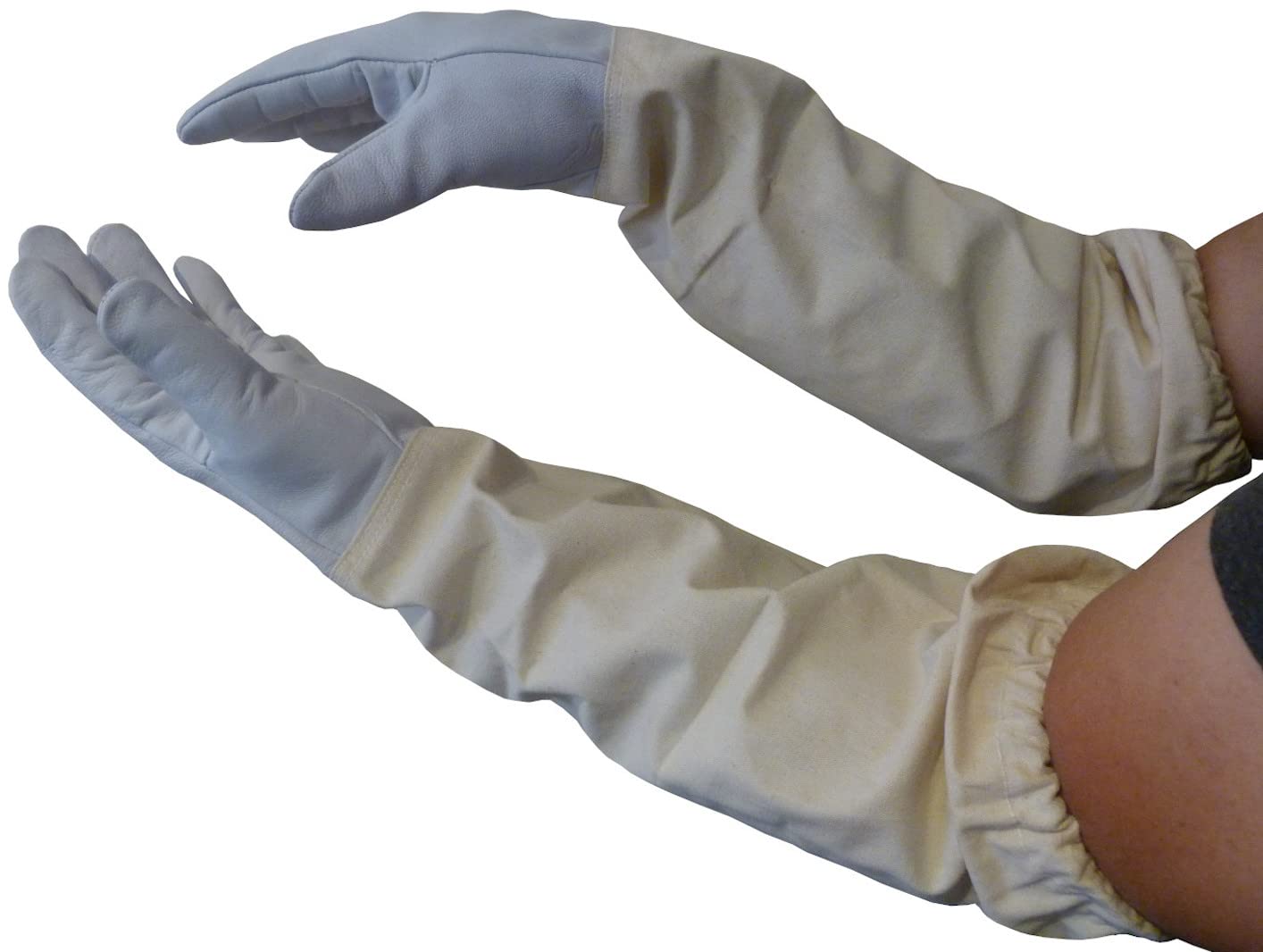 AGS Gants d'apiculteur en peau de chèvre - Gants de protection pour apiculture - Taille S