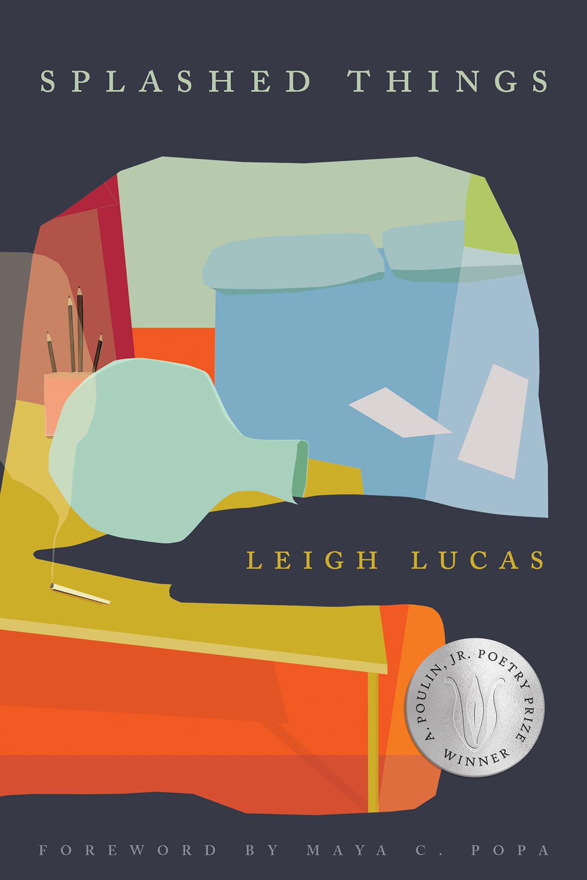Splashed Things by Leigh Lucas, Maya C. Popa - 9781968507039