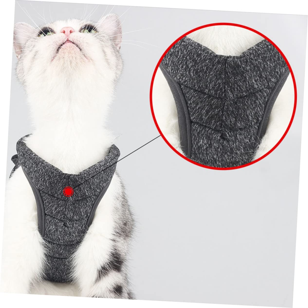 Supvox 3stücke Leichtes Katzenbrustgeschirr Für Kleine Katzen Atmungsaktiv Und Komfortabel Aus Langlebigem Material Für Und Ausflüge s