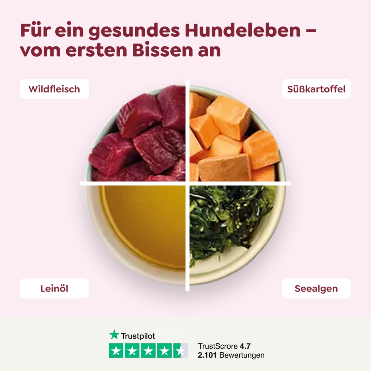 WOW Dog Hunde-Nassfutter mit Wild | Enthält Vitamine und Mineralien, ohne Getreide und Zucker | 400 g / 12er Pack