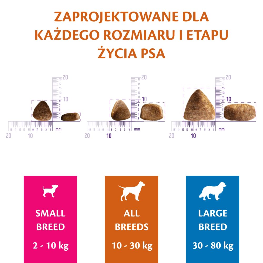 Wellness CORE Ocean 10 kg, Łosoś i Tuńczyk – Sucha Karma dla Psów Średnich i Dużych Ras, Bezzbożowa, Naturalna, Hipoalergiczna, o Wysokiej Zawartości Ryb, Wspiera Zdrową Skórę i Lśniącą Sierść
