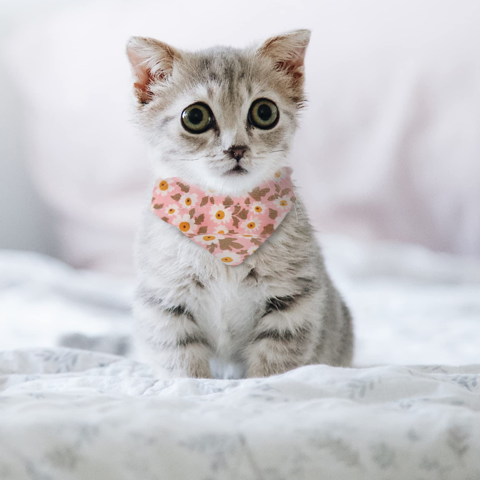 POPETPOP 3 Set Di Collare Per Gatti Chic Per Gatti Triangolo Sciarpa Accessori Per Animali Domestici Per Feste Di Compleanno Di Natale 2 Pezzi * 3
