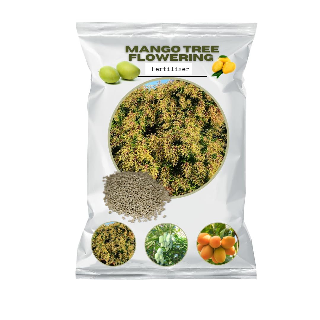 MANGO TREE FLOWERING | for Flower and Fruit Enhancement Mango Tree Fertilizer (D) (3000, Grams) (B0DD4LGBM9) Amazon Price History, Amazon Price Tracker