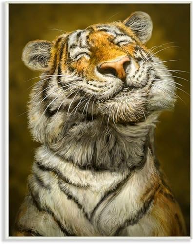 Miniatura 1 de Stupell Industries Happy Tiger - Placa de pared con diseño de gatos grandes, 13 x 19 pulgadas, multicolor