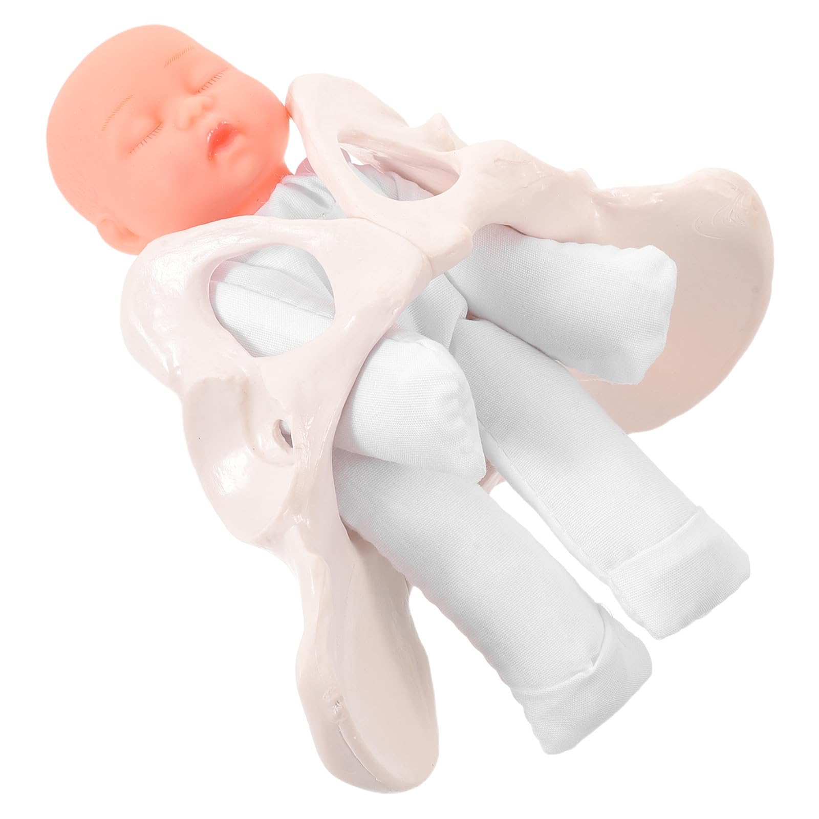 Pelvis Femenina de Parto, Compacta, Plástico, con Niño y Placenta