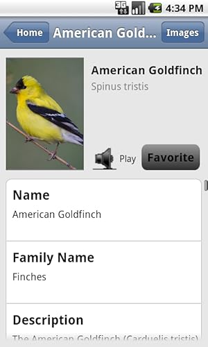 Backyard Birds Of America