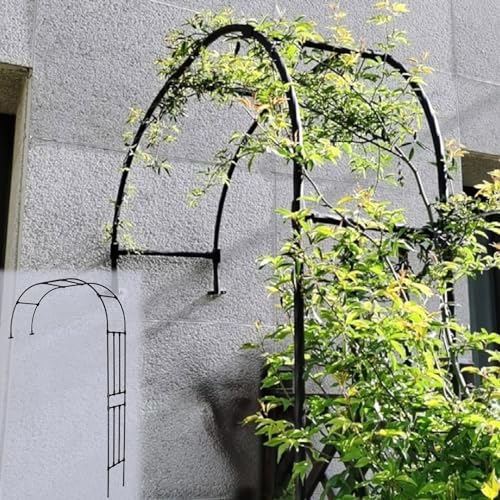 Arche de jardin en acier pour plantes grimpantes et support de fleurs tunnel