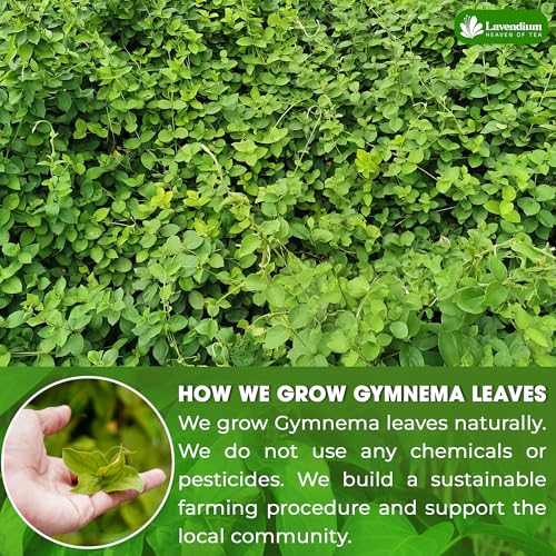 Image of Lavendium, Premium 60 Gymnema Leaf Tea Bags, 100% Natural & Pure from Leaves. Gymnema Tea Bags for Diabetics - COLD-DRIED for Maximum Freshness and Nutrient Retention. No Sugar, Vegan.