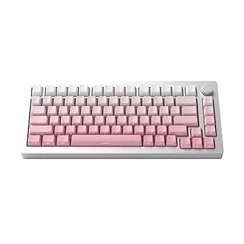 MonsGeek M1HE グラデーションパープル 英語配列キーボード 本体