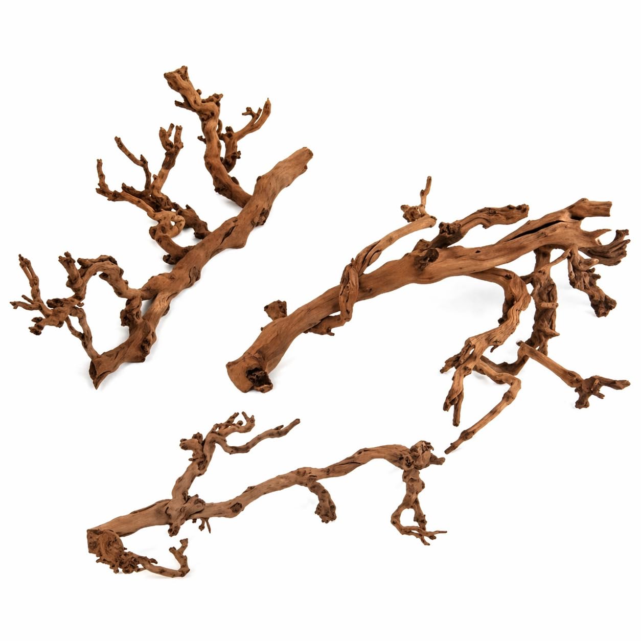 Weinrebe, Rebenholz, verästelt, sandgestrahlt, Verschiedene Größen, Terrarium Deko, Sitzstange, Vogelsitzplatz, Käfigzubehör, Floristik und Raumschmuck