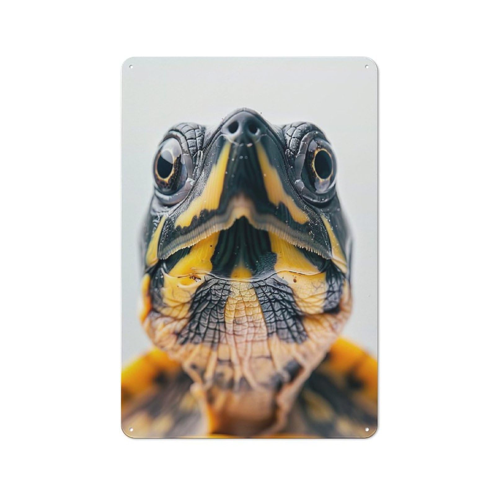 Junmoney Style-11 Tin Wall Plaque 30X20cm With Turtle Face For Guest Room Or Hallway, For Updating Guest Room And Hallway After Moving